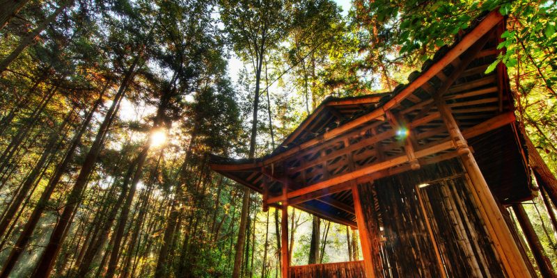 5709944739_578bc434a7_b