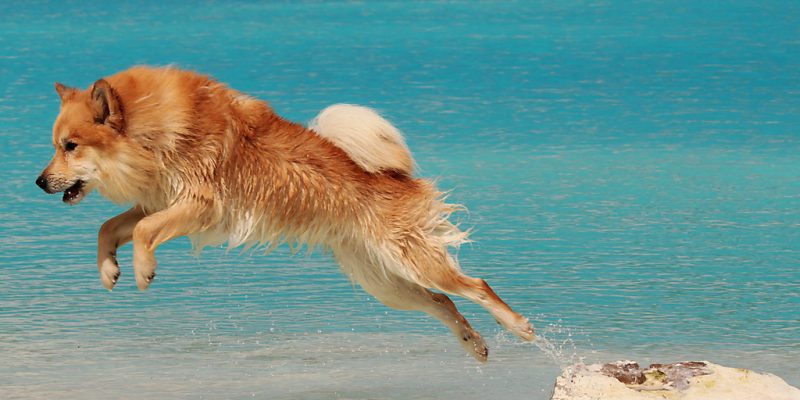 7543602860_c741e700c0_b